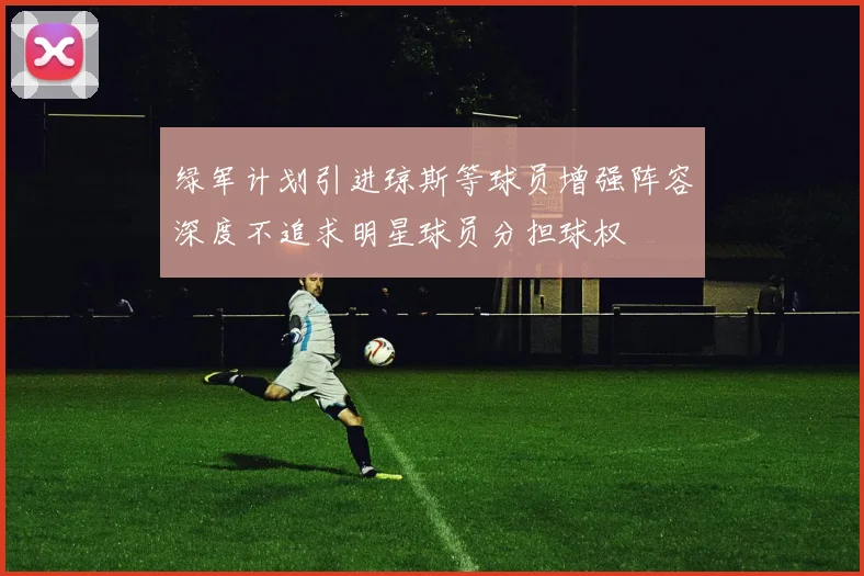 绿军计划引进琼斯等球员增强阵容深度不追求明星球员分担球权